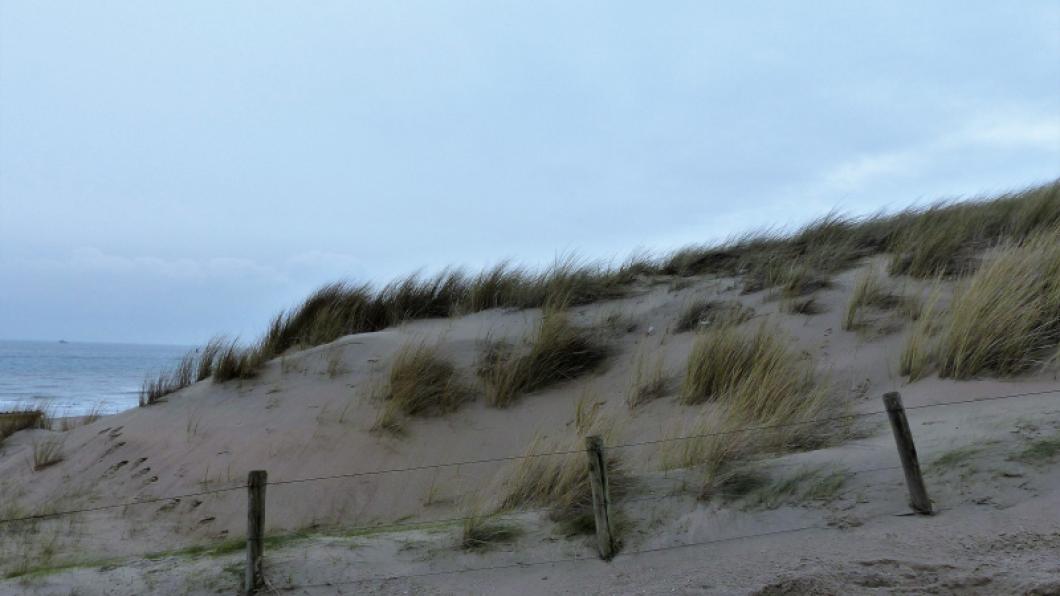 duinen en zee 1