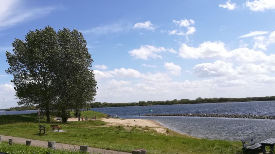 veerse meer met bomen