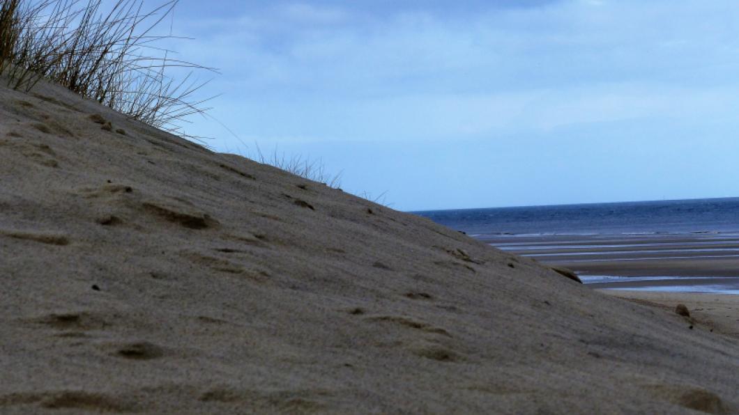 Zee en duinen