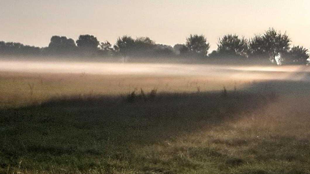 mist boven veld
