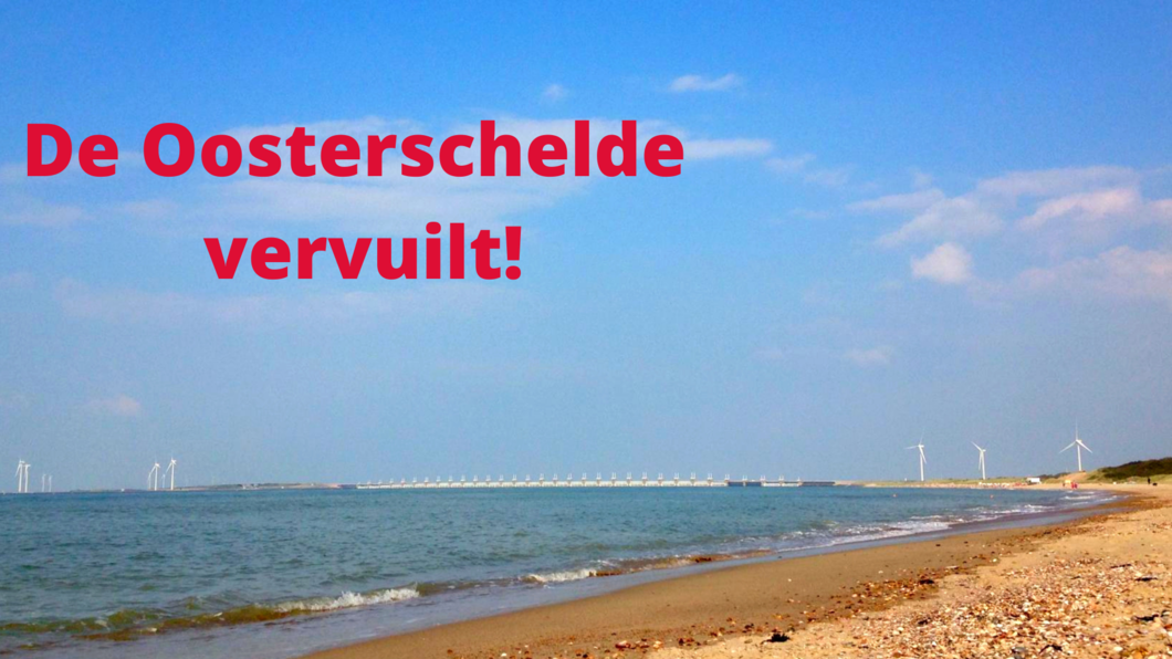 artikel 44 vragen Oosterschelde vervuiling