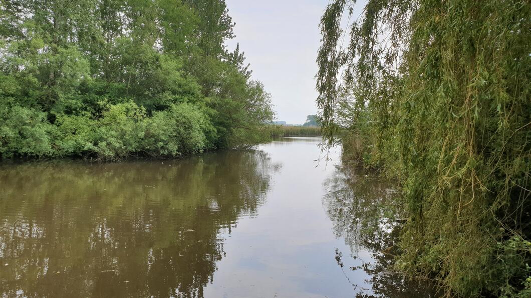 water euregio tuin oostburg