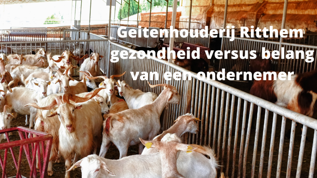 geitenhouderij versus gevangenis en gezondheid burger