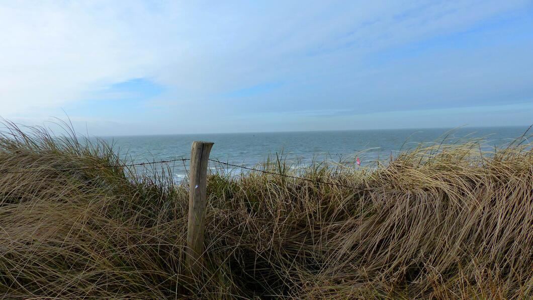 duinen en strand omgevingsverordening