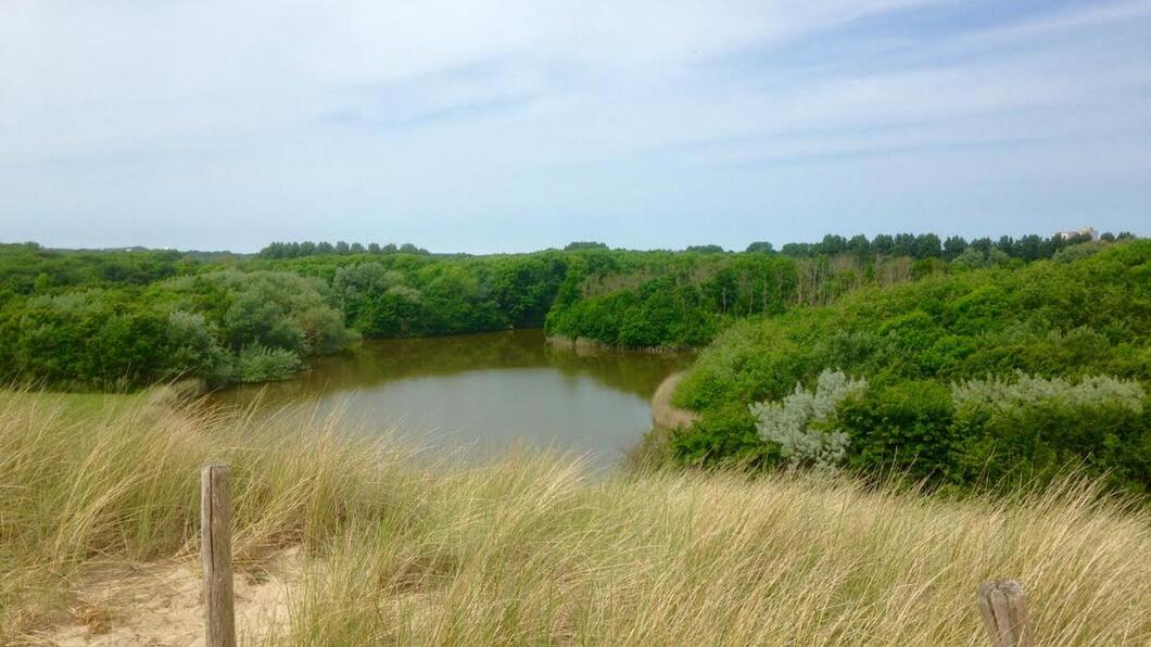 natuurnetwerk zeeland artikel 44 vragen