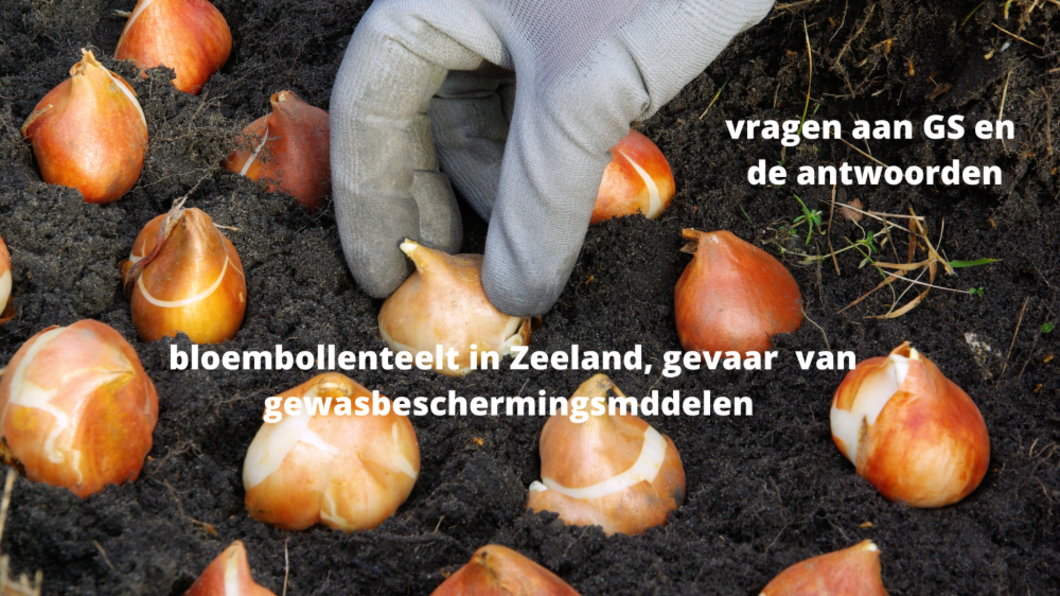 bloembollen en snijbloemen teelt Zeeland artikel 44 vragen 