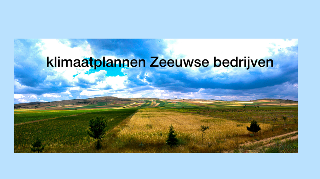 klimaataanpak grote Zeeuwse bedrijven  artikel 44 