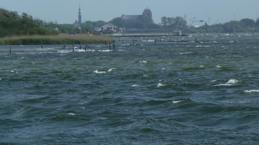 Veerse Meer Veere-water.jpg