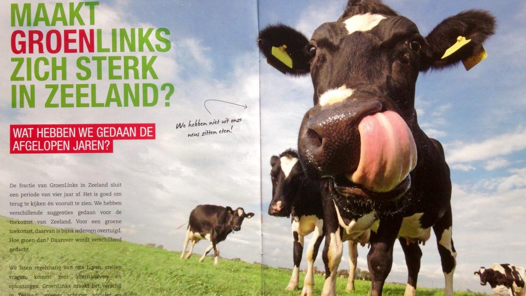 Waarvoor maakt GroenLinks zich sterk in Zeeland? binnenkant successen koeien.jpg