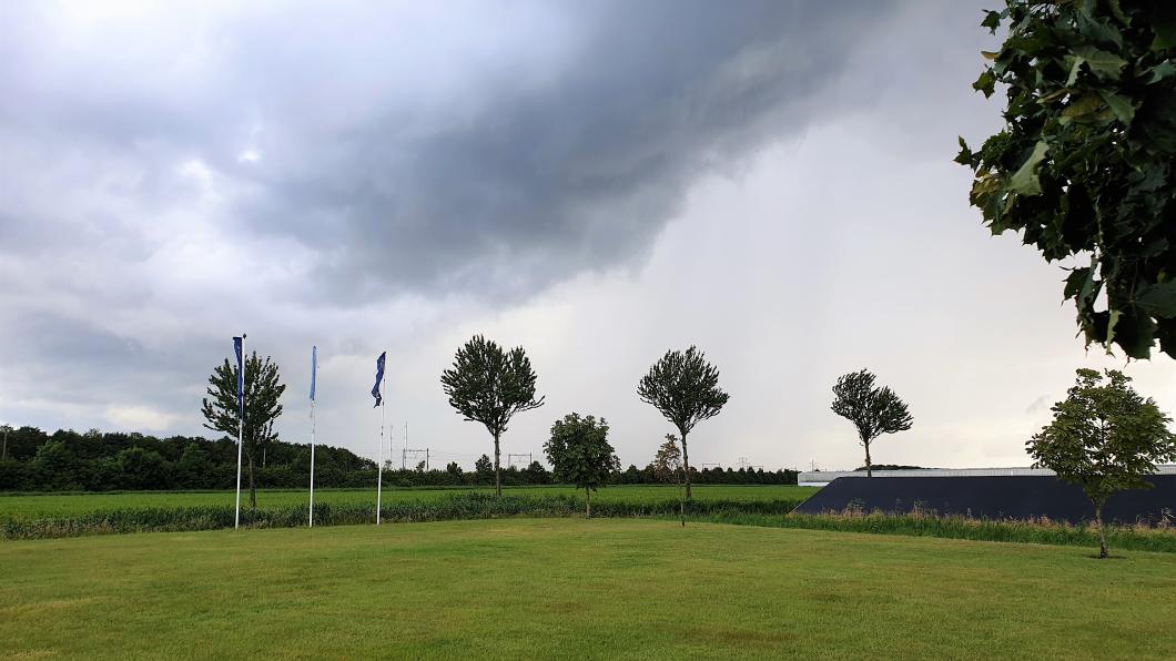 20190613_181434 plek vergister Rilland.jpg