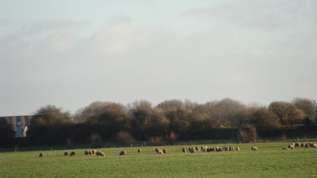 zicht op land