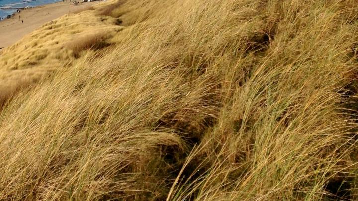 duinen Vlissingen Vlissingen zon zee foto JC.jpg