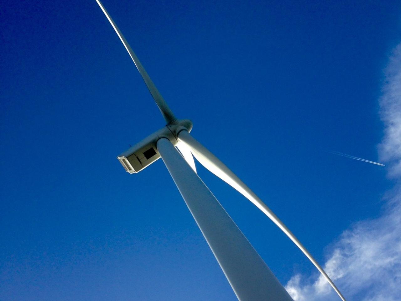 windmolen wiek.jpg