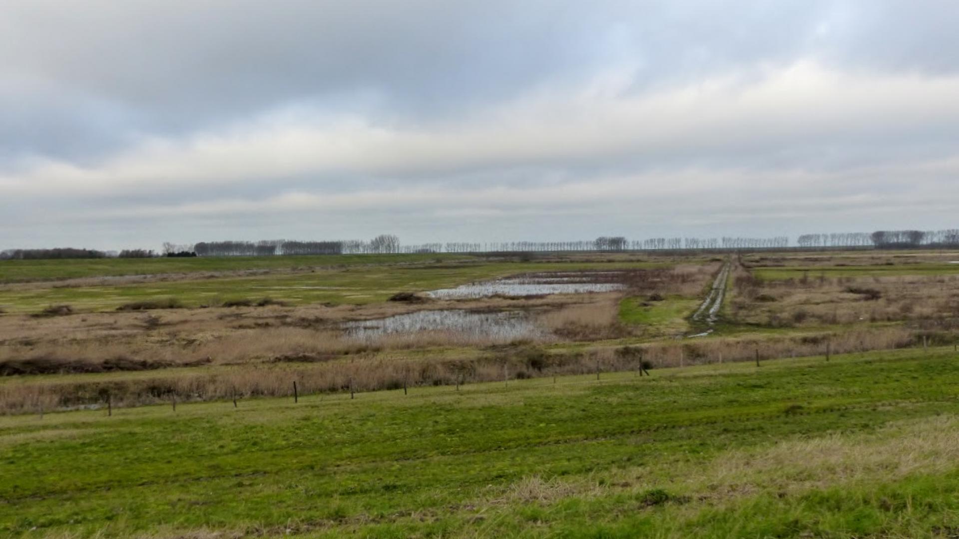 natuur waterdunen