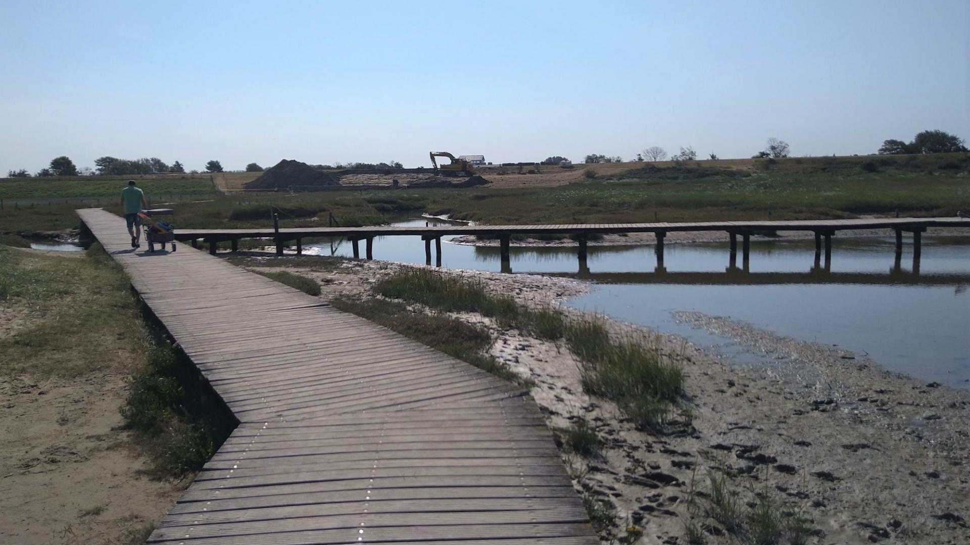 zwarte polder