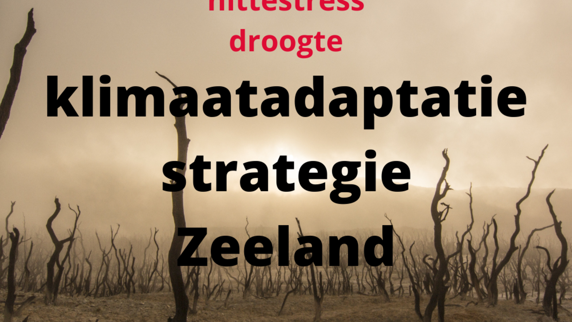 klimaatadaptatiestrategie Zeeland