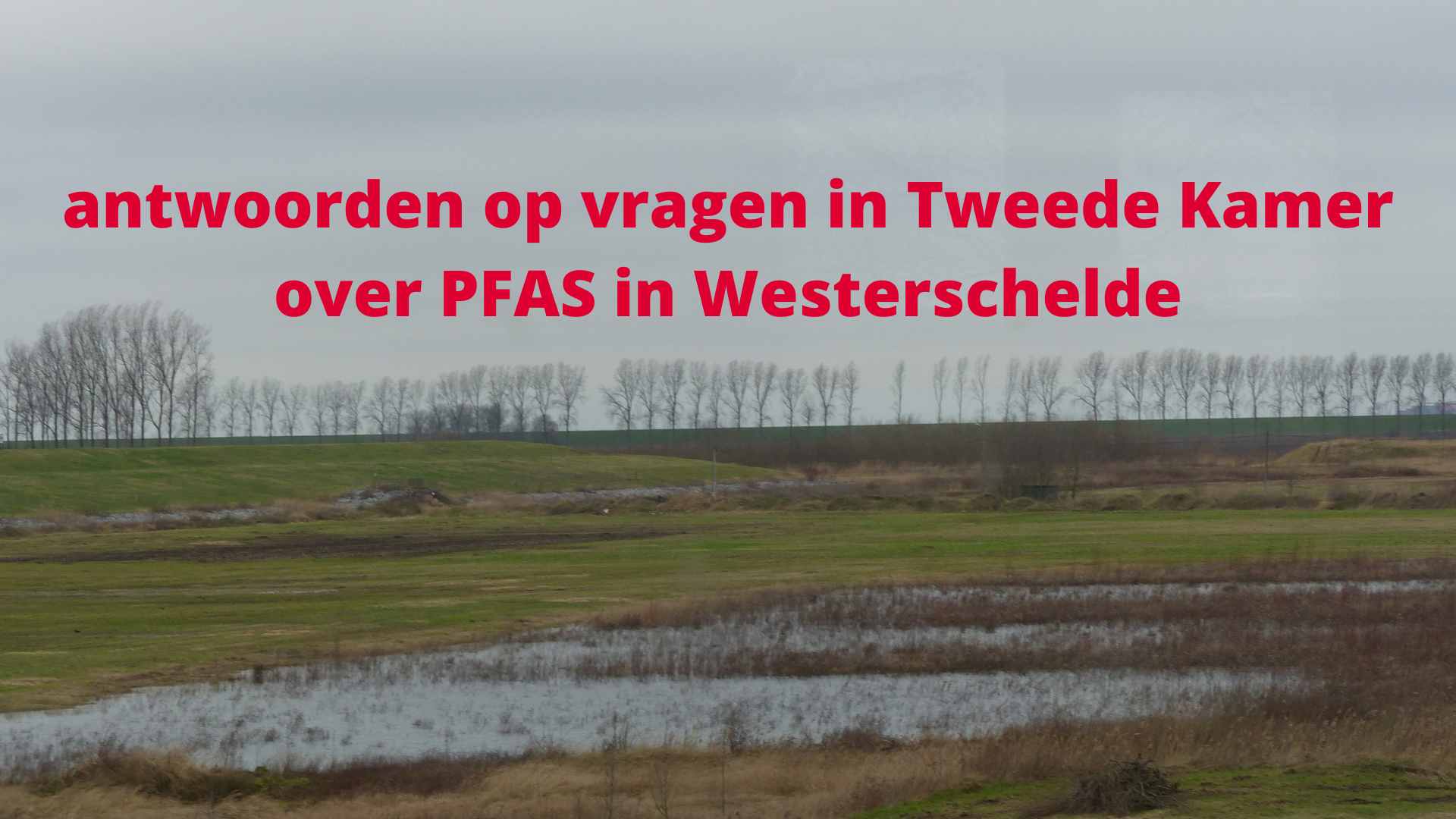 antwoorden tweede kamer pfas