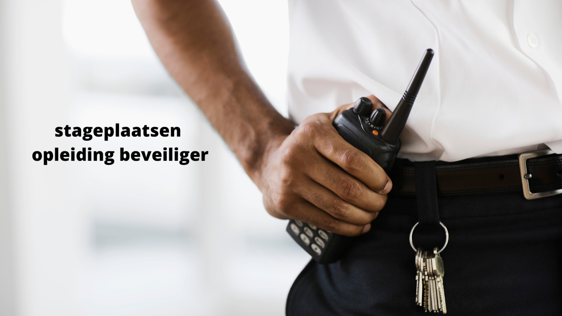 stageplaatsen Scalda beveiliger beveiliging