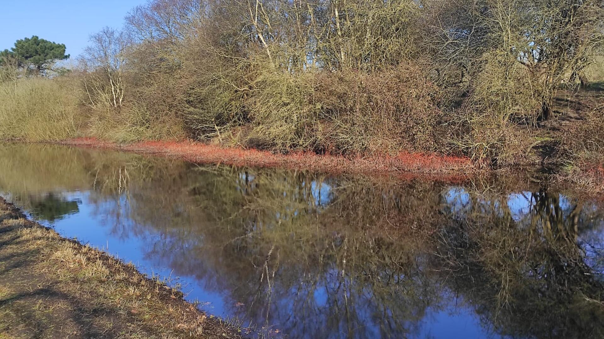 natuur en landbouw begrotingswijziging 