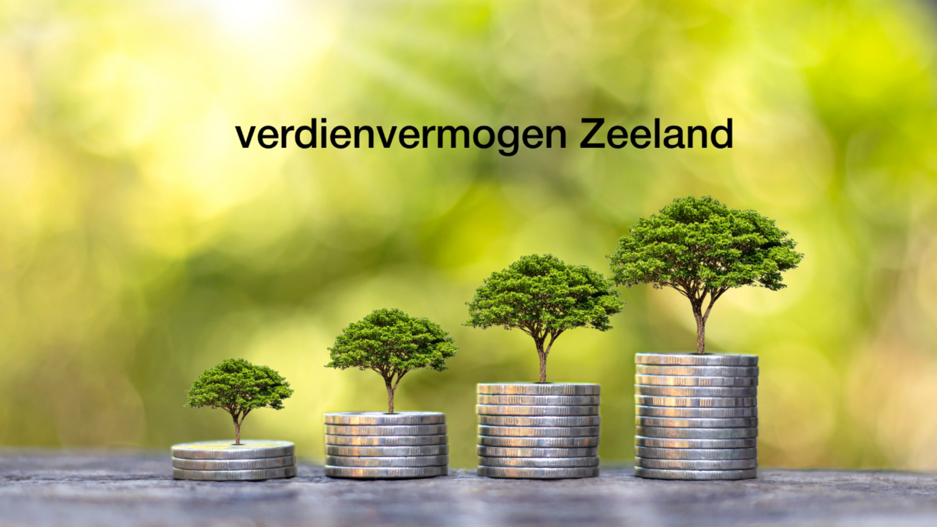 duurzaam verdienvermogen Zeeland artikel 44 