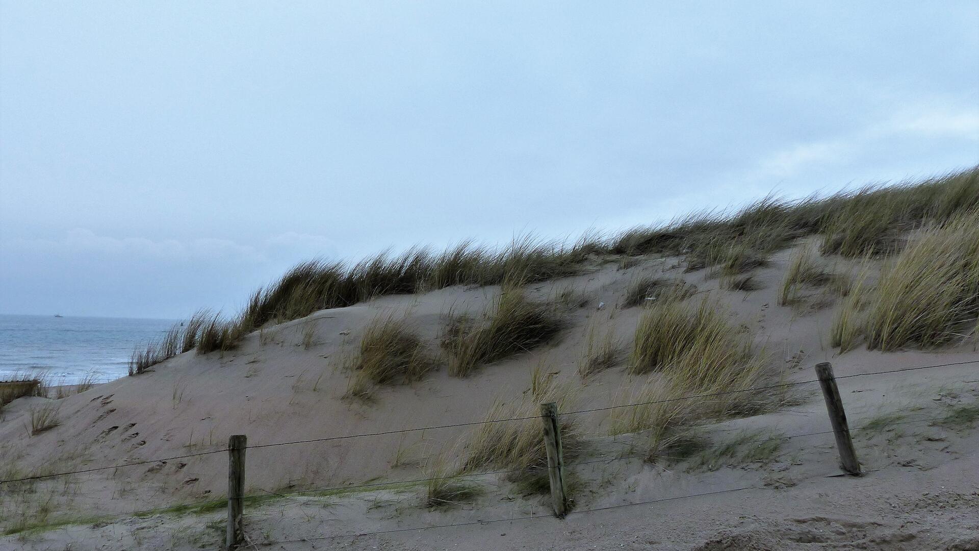 duinen zeeland