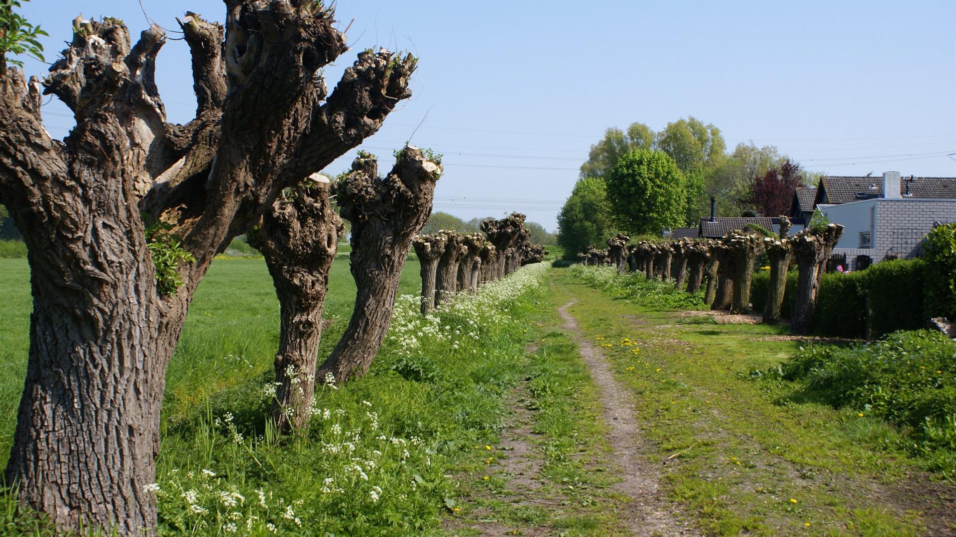 ~Natuur 001.jpg